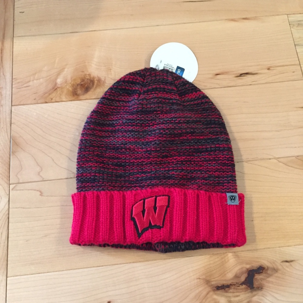 Wisconsin beanie